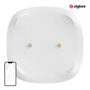 Water leak sensor ZigBee SONOFF SNZB-05P