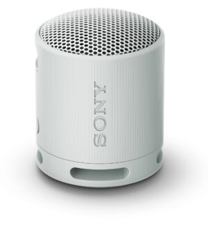 Φορητό ηχείο Sony - SRS-XB100, γκρι