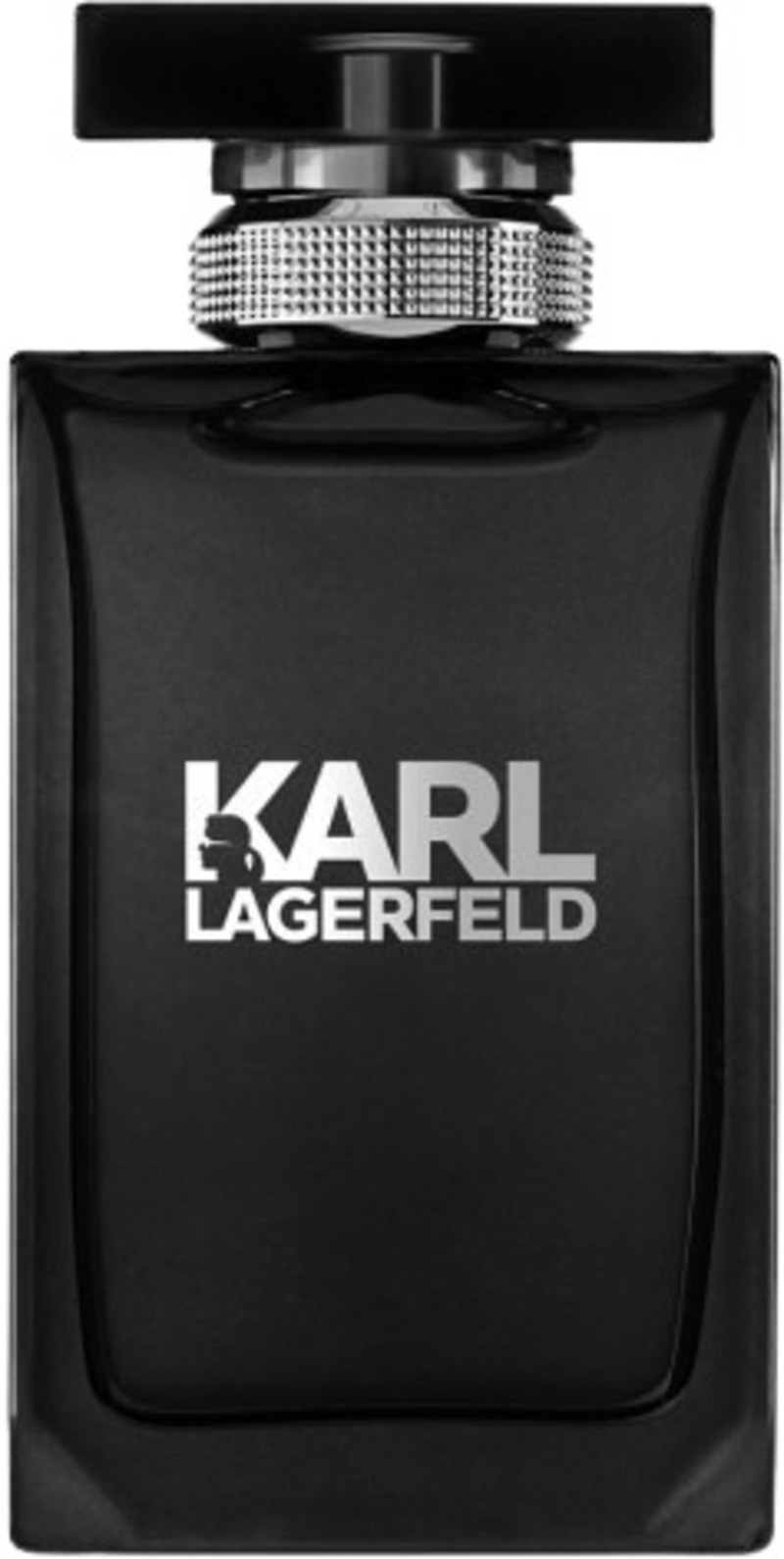 Karl Lagerfeld Eau de toilette Pour Homme, 100 ml