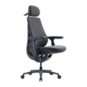 Dynamic Ergonomic Chair LiberNovo Maxis