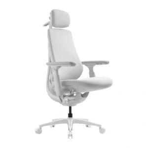 Dynamic Ergonomic Chair LiberNovo Maxis-PRO